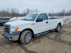 2013 Ford F150 for sale in Marlboro, NY
