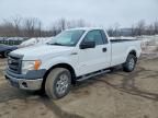 2013 Ford F150