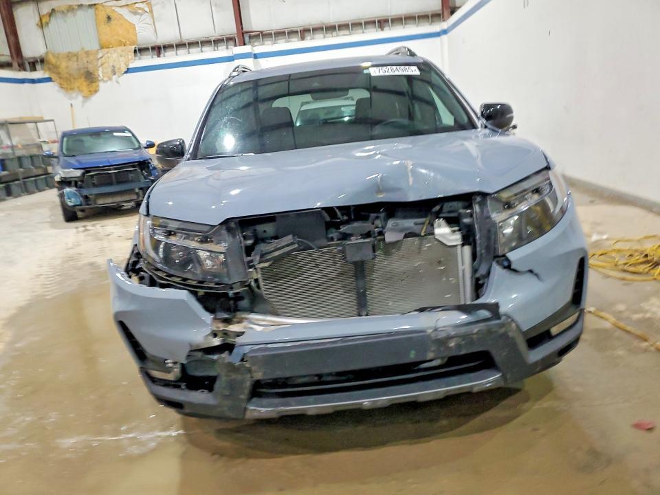 2023 Honda Passport Trail Sport