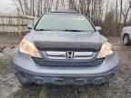 2009 Honda Cr-v exl