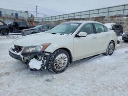 2008 Honda Accord exl for sale in Walton, KY