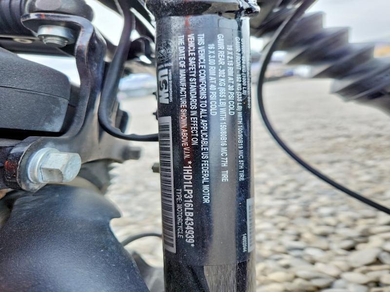 2020 Harley-Davidson XL1200 NS