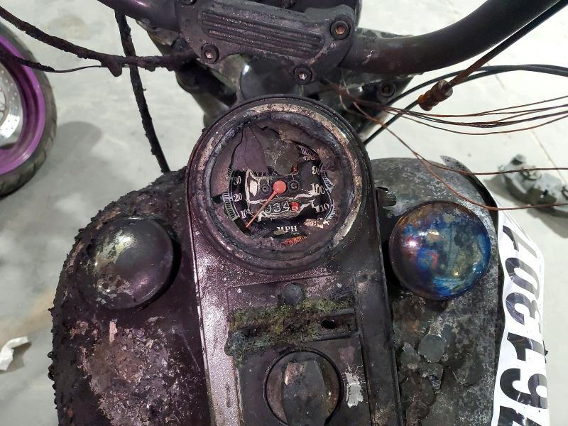 1995 Harley-Davidson Fxst Custom