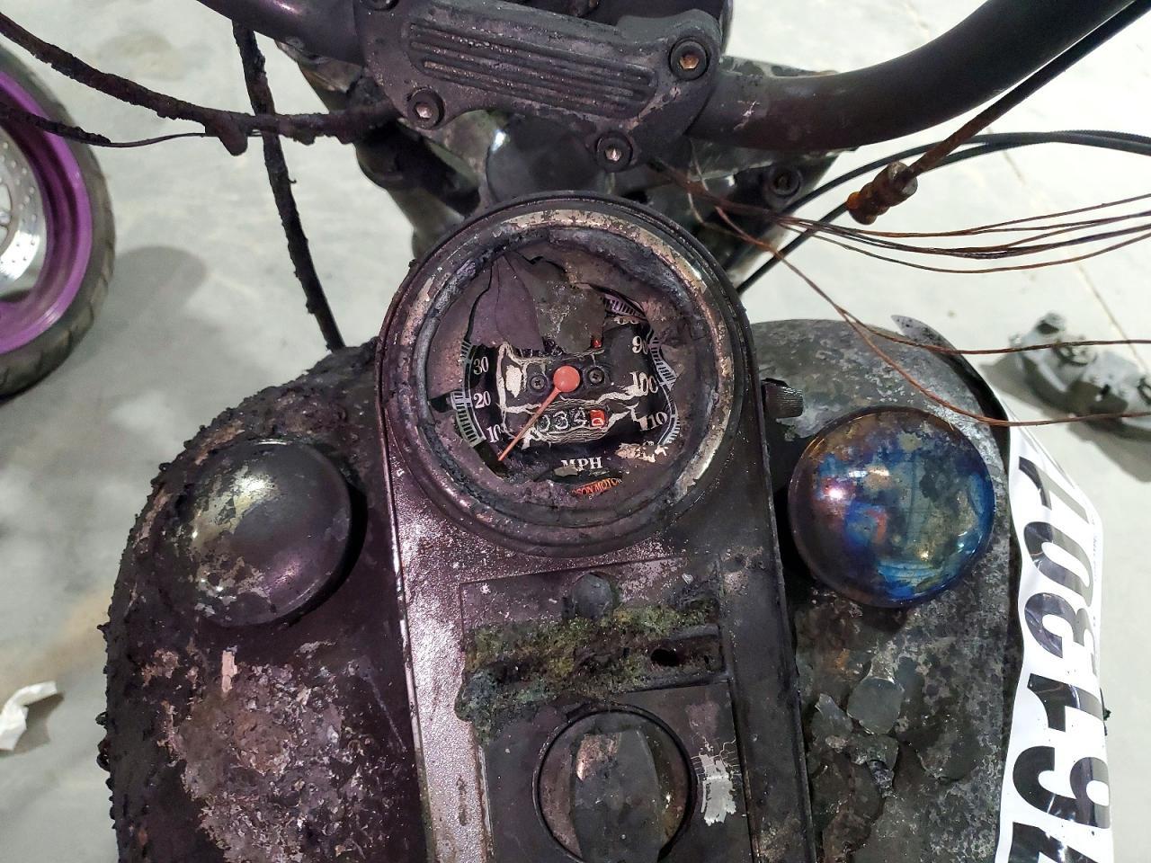 1995 Harley-Davidson Fxst Custom
