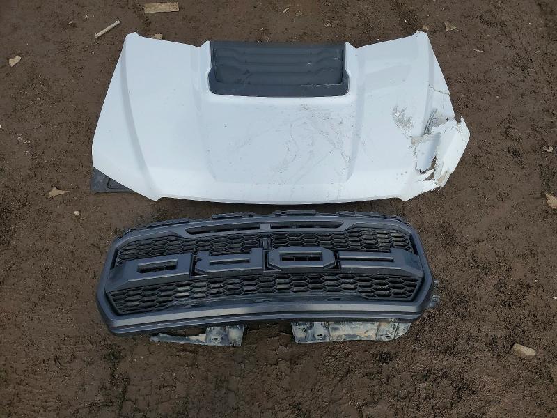 2020 Ford F150 Raptor