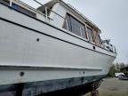 1981 Marine Trader Boat