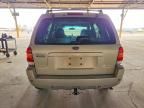2004 Ford Escape Limited