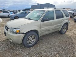 Ford Vehiculos salvage en venta: 2005 Ford Escape Limited