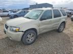 2005 Ford Escape Limited