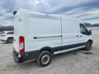 2019 Ford Transit 250 Delivery Van