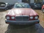 1982 Jaguar XJ6
