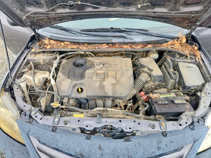 2011 Toyota Corolla Base