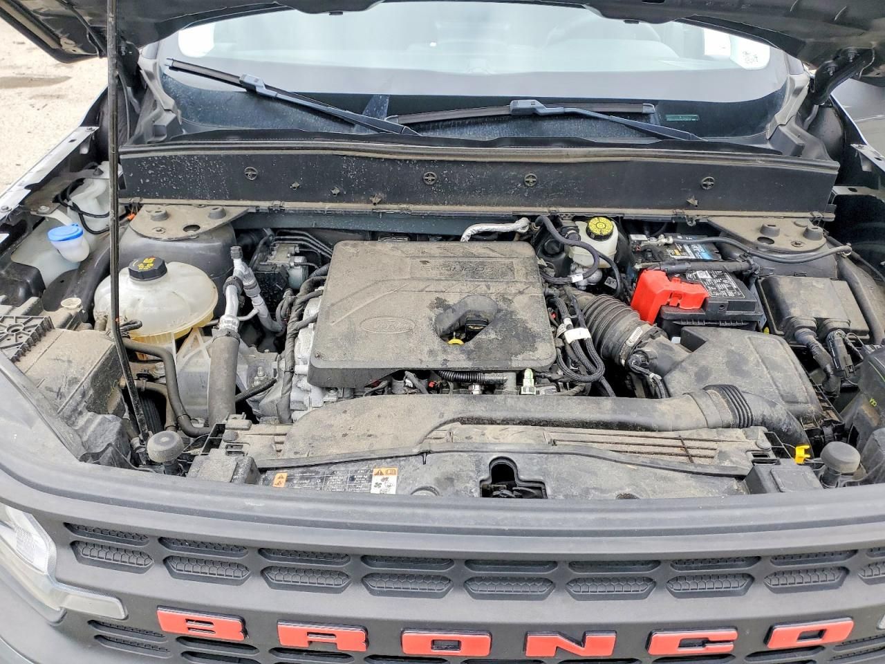 2021 Ford Bronco Sport