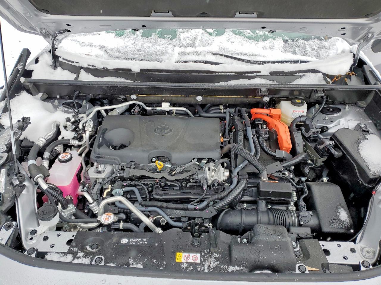 2025 Toyota Rav4 xse