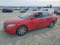 2008 Toyota Camry Hybrid en venta en Antelope, CA