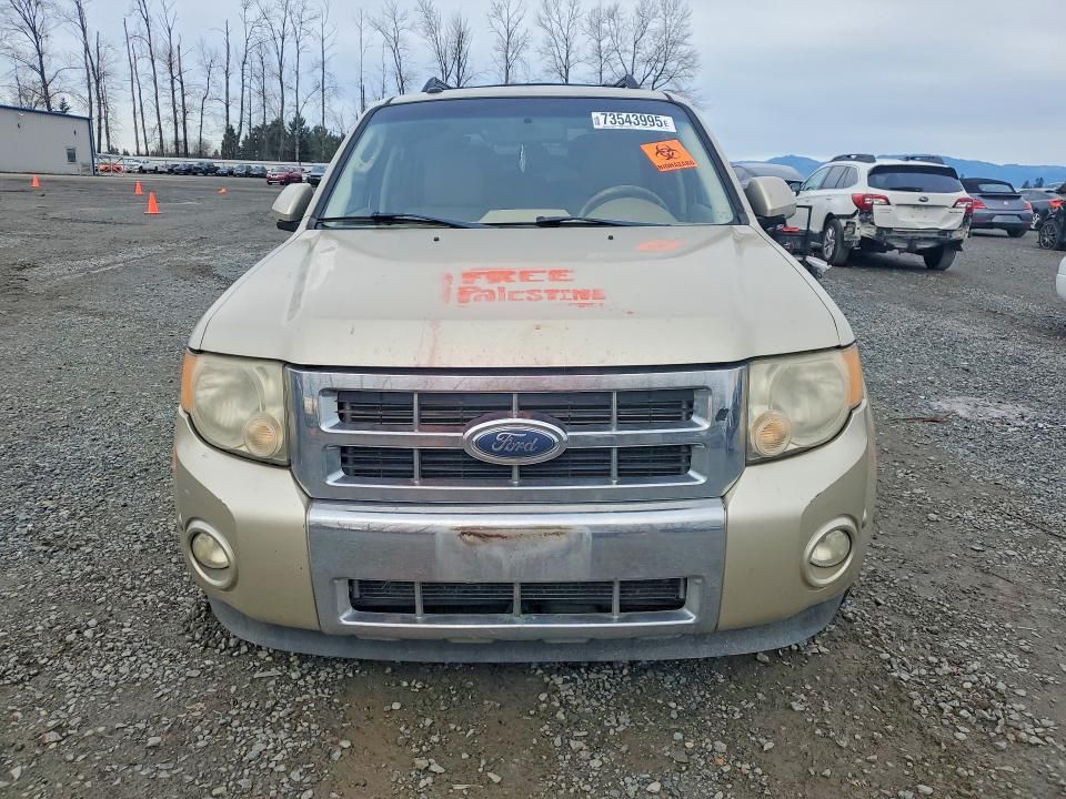 2010 Ford Escape Limited