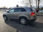2012 KIA Sorento Base