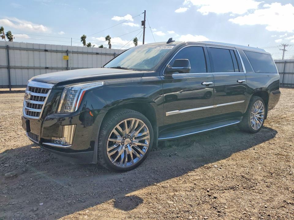 2019 Cadillac Escalade esv Luxury
