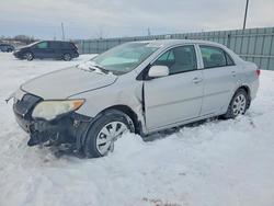 Toyota Corolla salvage cars for sale: 2010 Toyota Corolla Base