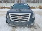 2015 Cadillac Escalade Luxury