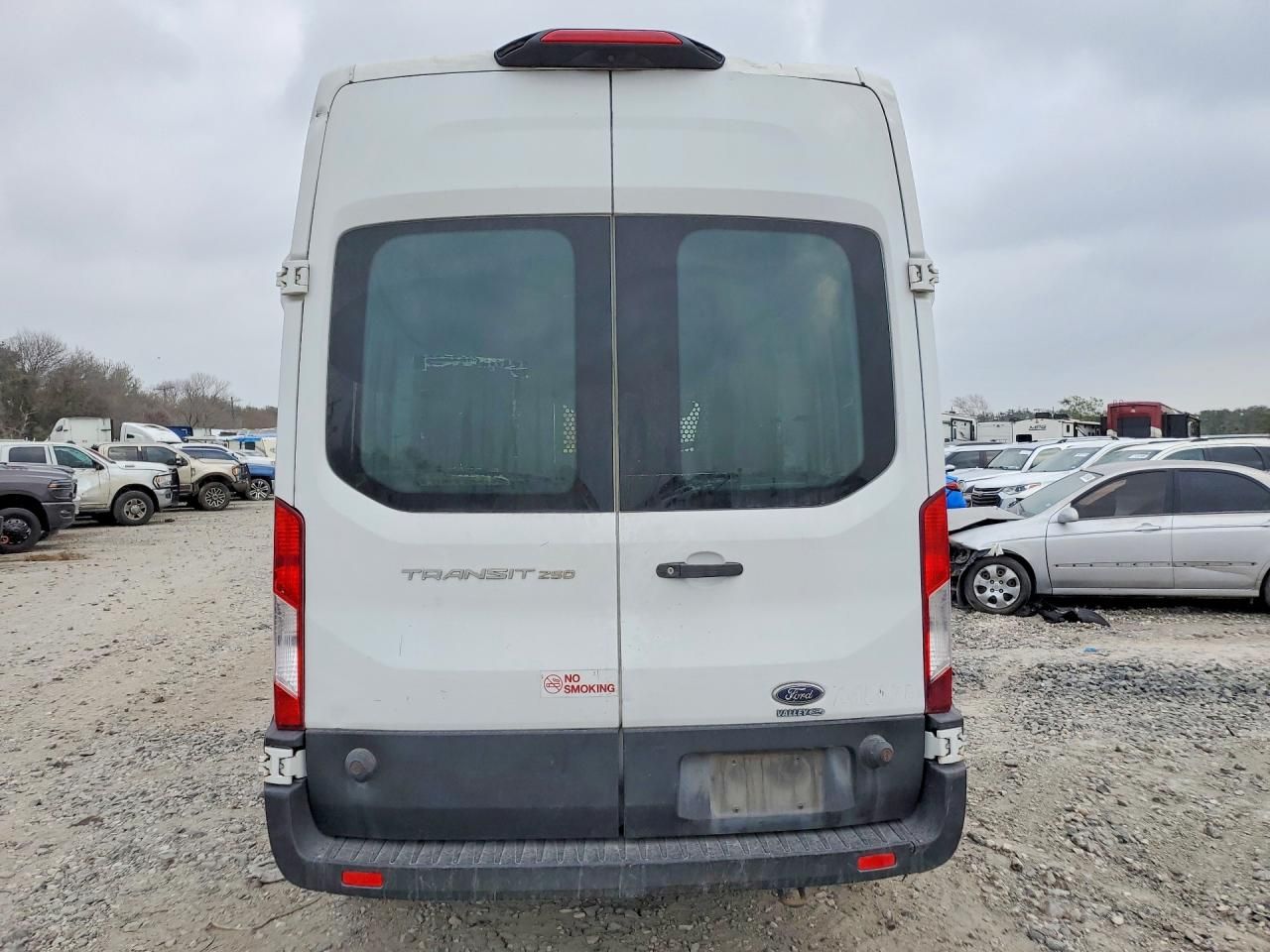 2019 Ford Transit 250 Delivery Van