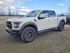 2019 Ford F150 Raptor