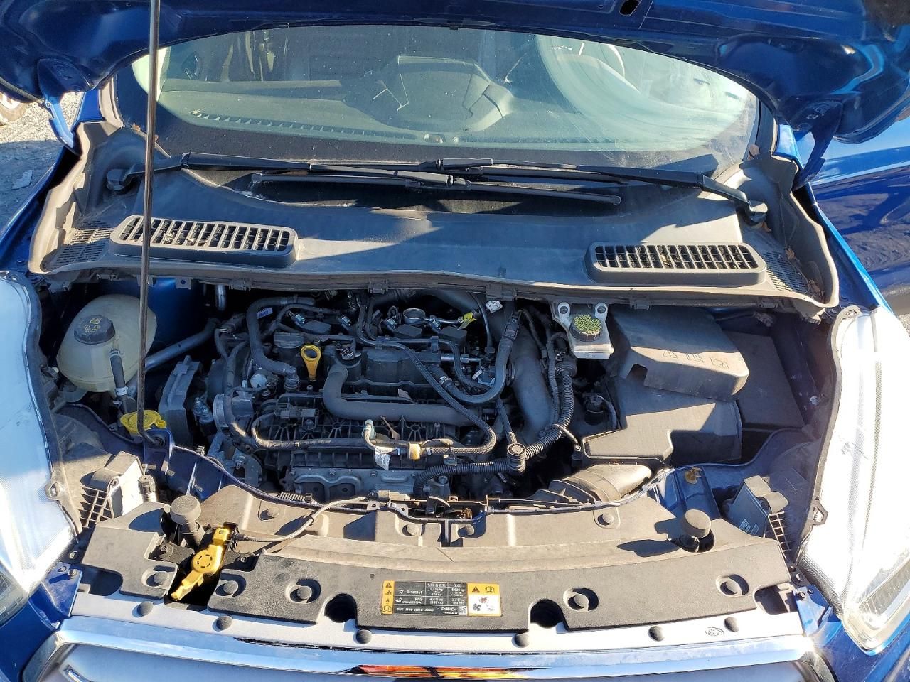 2019 Ford Escape sel