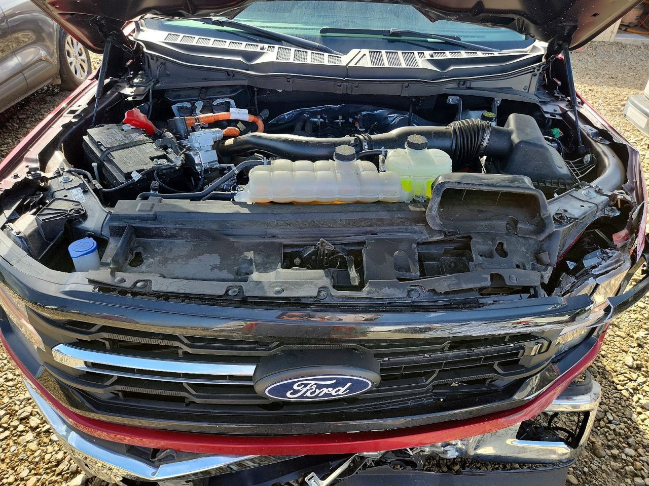 2025 Ford F150 XLT