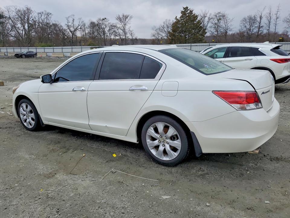 2010 Honda Accord exl