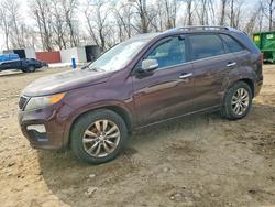 KIA salvage cars for sale: 2013 KIA Sorento sx