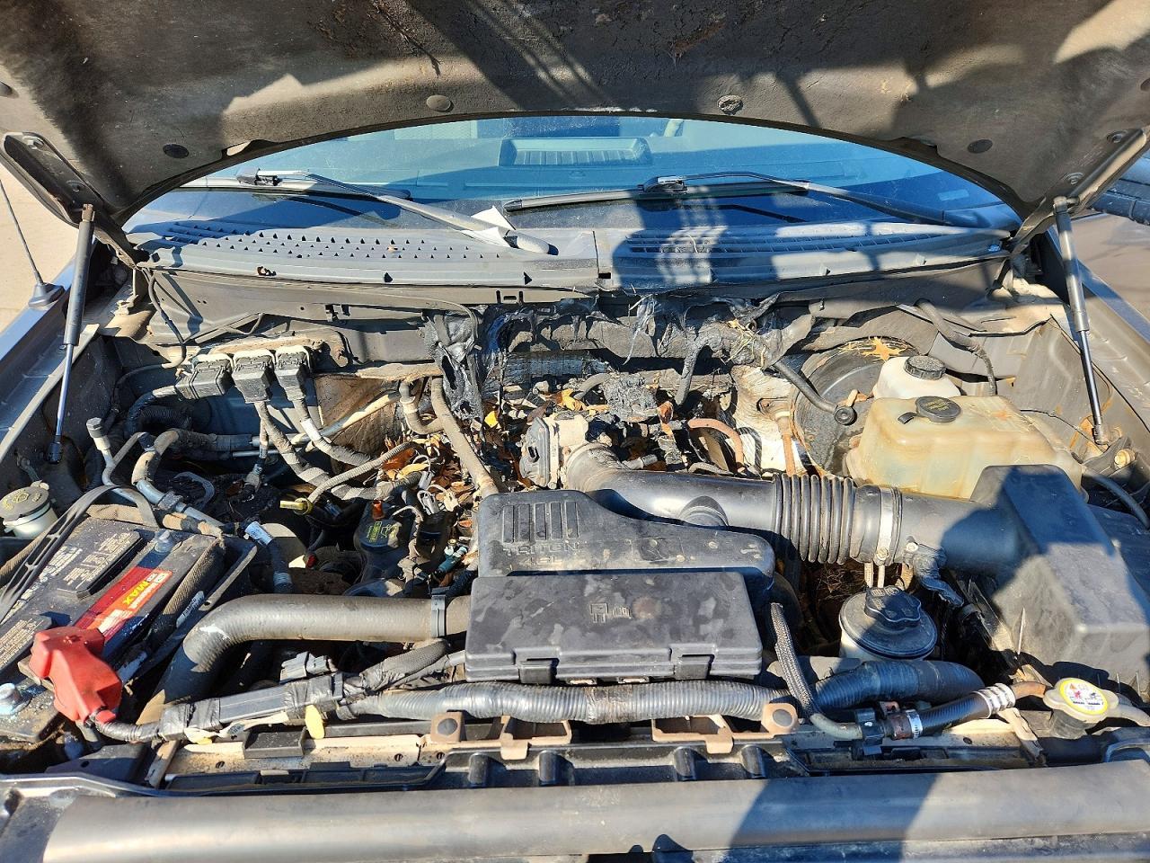 2009 Ford F150