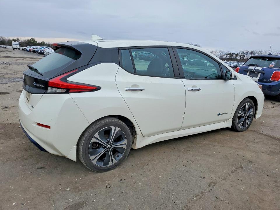 2018 Niss Leaf sv
