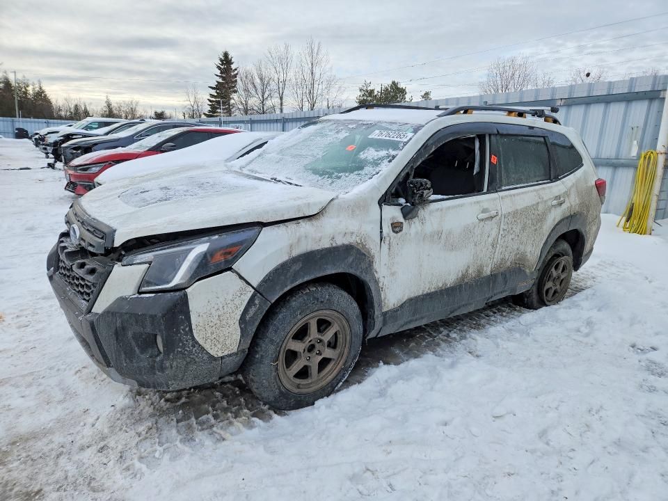 2023 Subaru Forester Wilderness