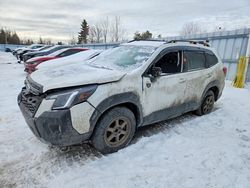 2023 Subaru Forester Wilderness en venta en Bowmanville, ON