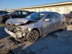 2016 Acura Ilx Premium for sale in Louisville, KY
