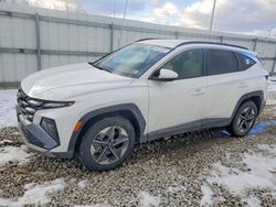 Hyundai salvage cars for sale: 2026 Hyundai Tucson sel