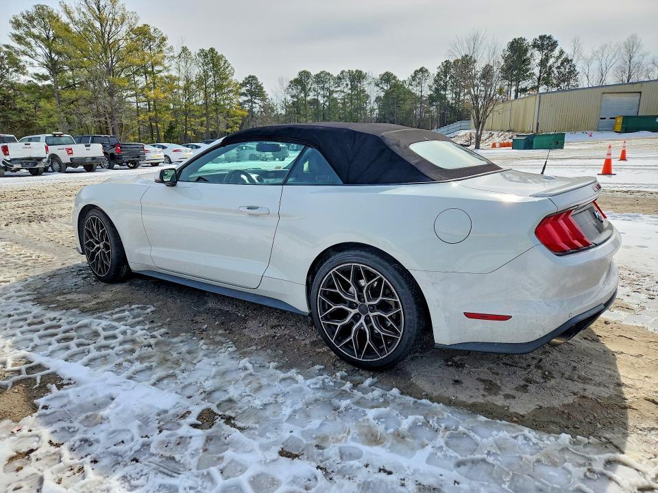2019 Ford Mustang