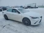 2024 Lexus Es 350 Base