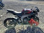 2025 Triumph Daytona 660