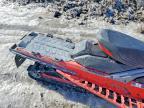 2023 Lynx Xterrain