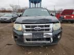 2010 Ford Escape Limited