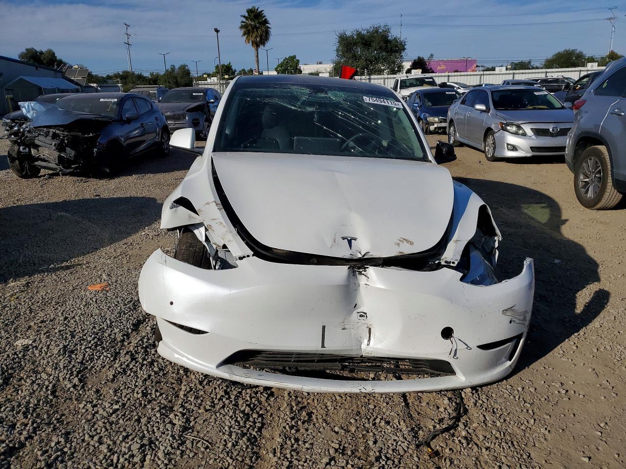 2020 Tesla Model y