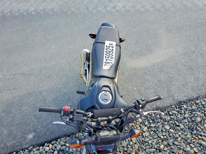 2023 Honda Grom 125
