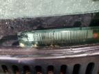 2005 GMC Sierra K2500 Heavy Duty