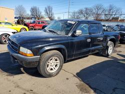Dodge salvage cars for sale: 2003 Dodge Dakota Quad Sport