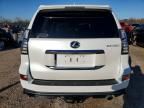 2023 Lexus Gx 460 Luxury