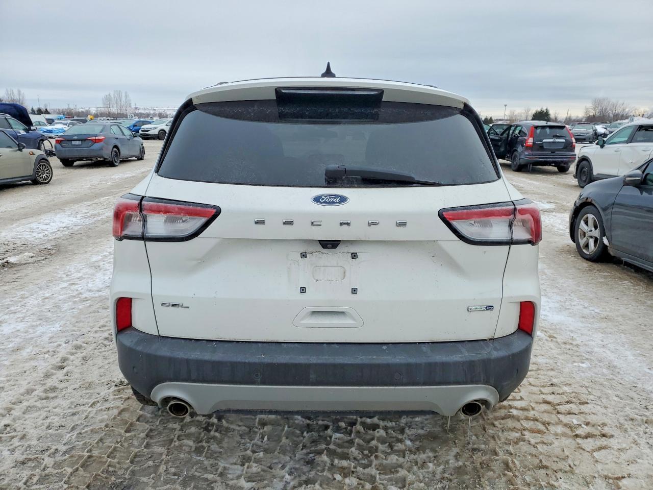 2020 Ford Escape sel