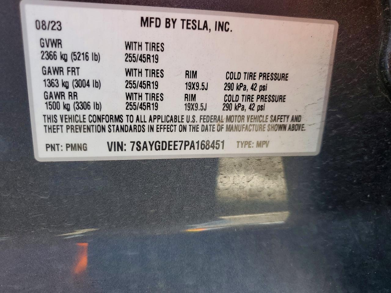 2023 Tesla Model y