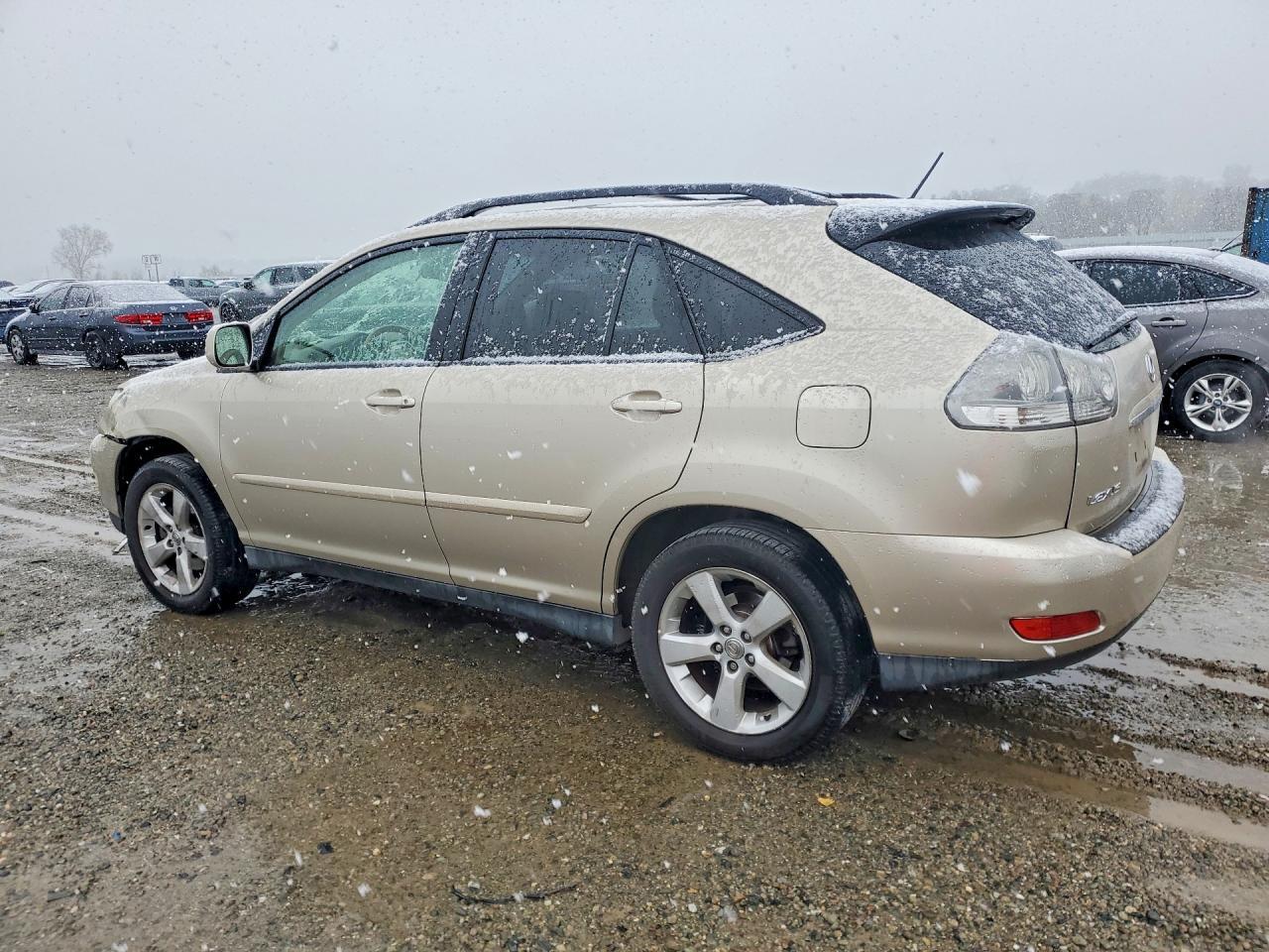 2004 Lexus Rx 330