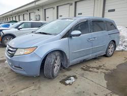 2014 Honda Odyssey exl for sale in Louisville, KY